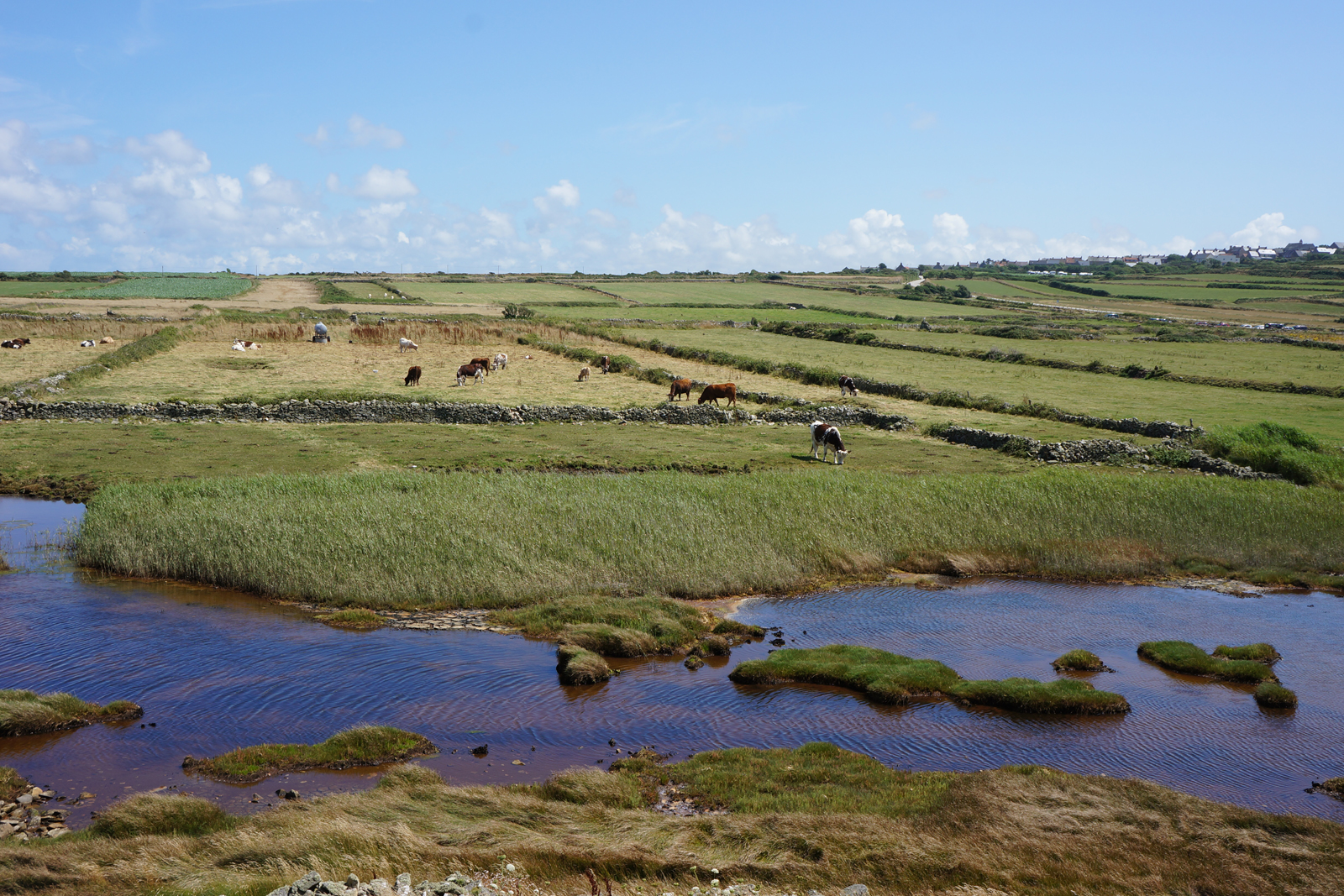 Goury Normandie