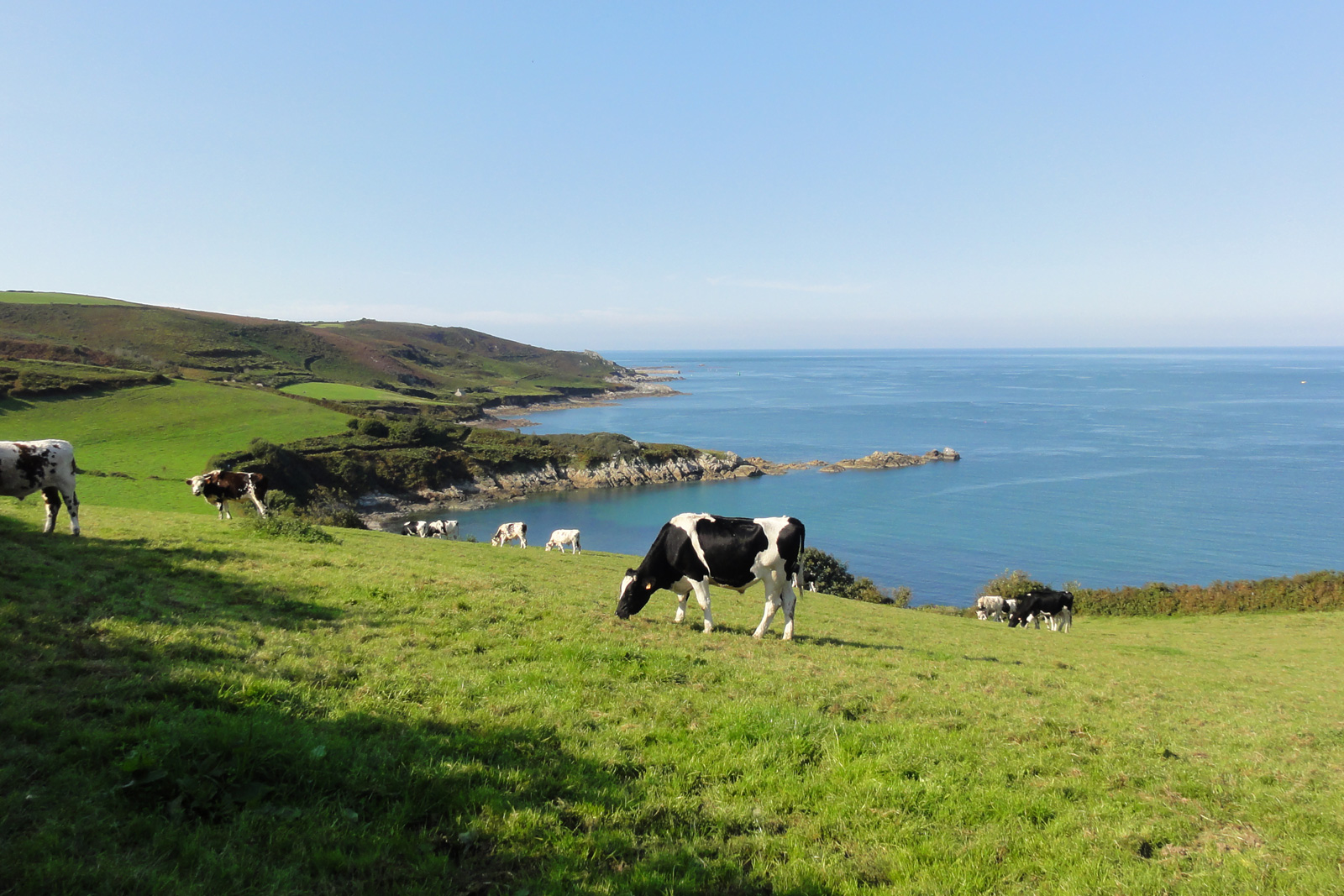 Normandie mer et campagne