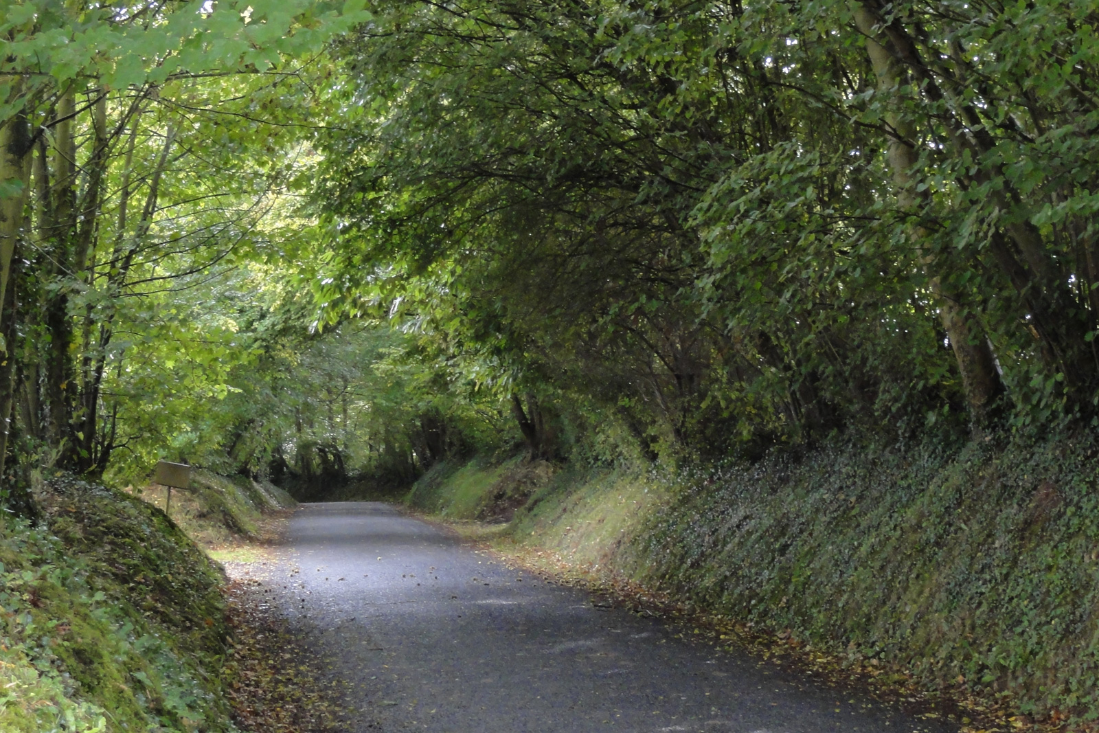 Bocage dans le Calvados