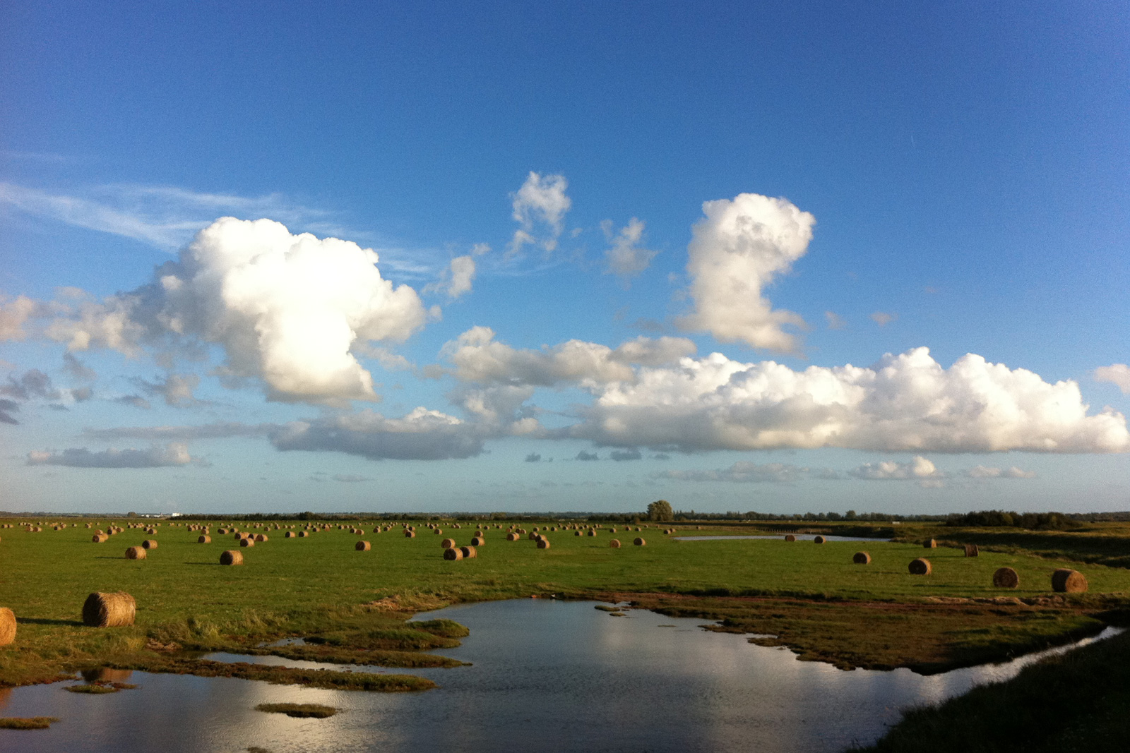 polders isigny-sur-mer calvados